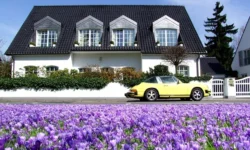 Smart Home Buying: Key Factors to Consider Before Making an Offer