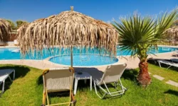 Can Smartphone Apps Save Your Holiday Blues?